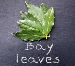 leaves bay benefits health amazing